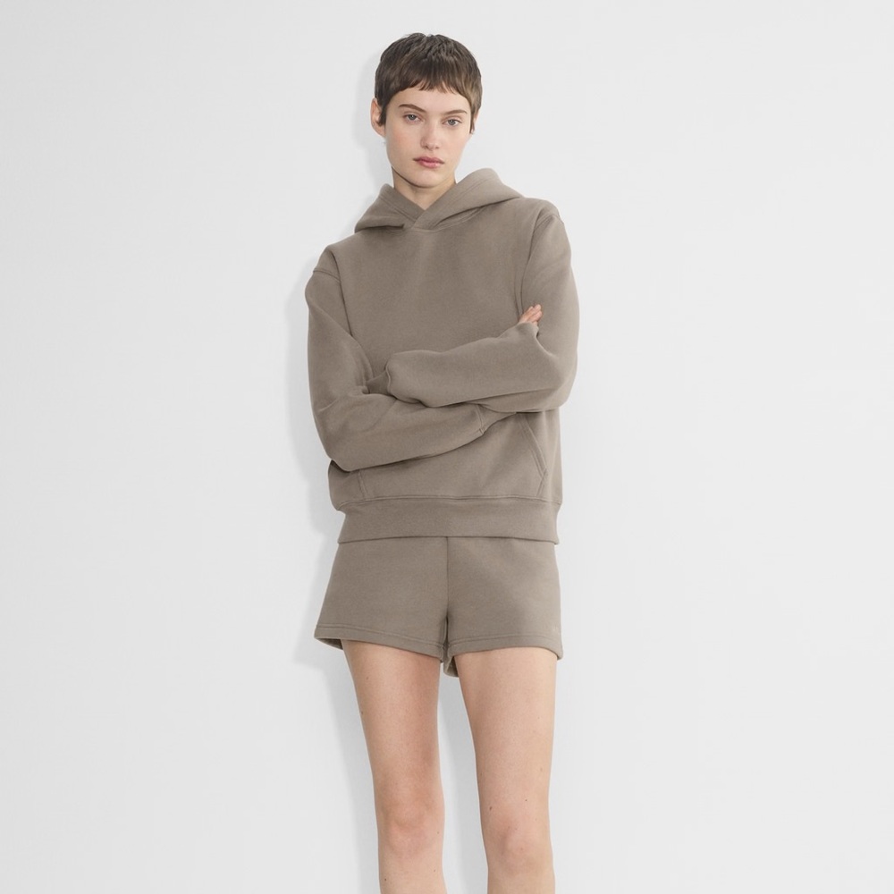 Aritzia Cozy Sweatfleece Taupe drawstring Hoodie size XS Boyfriend fit